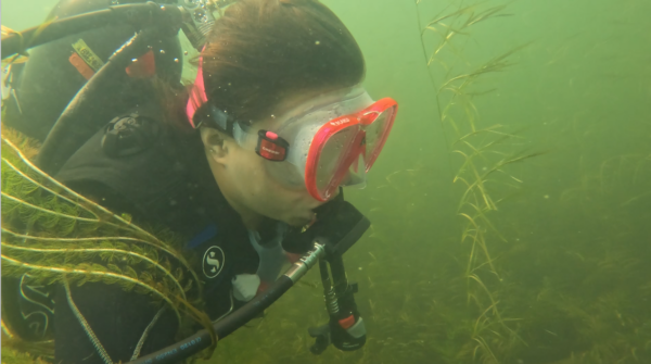 SCUBA diving for surveys and sensor deployment
